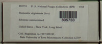 Image Associated With the Occurence